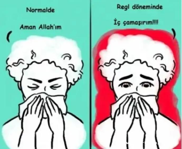 Regl Dönemini En Güzel Anlatan Karikatürler!