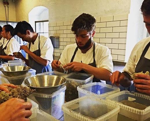 Gastronomi Bölümünün İş Alanı Nedir?