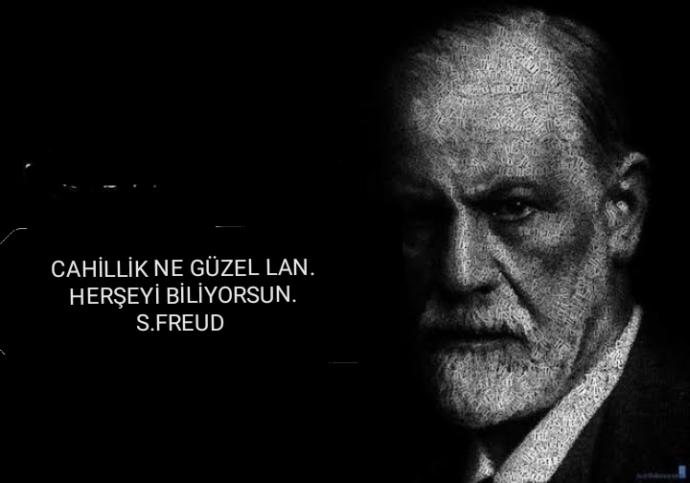 Freud amcadan inciler...