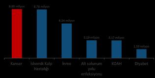 İnsanlarla İlgili 20 Rastgele Gerçek