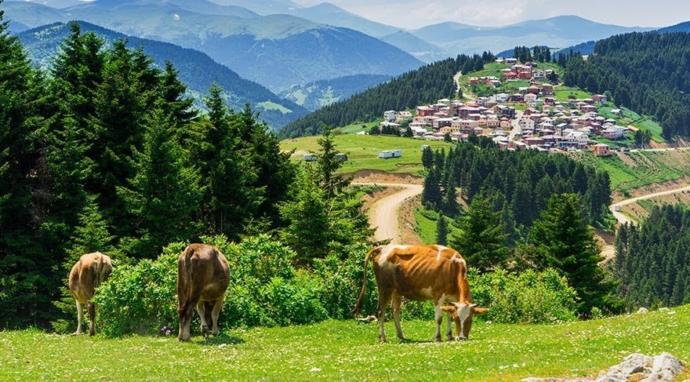 Yaz Sıcağından Bıkıp Usanan Tatilcilere Yeni Alternatif: Yayla Turizmi