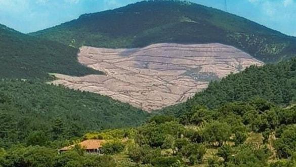 Bakanlık, Kaz Dağları'nda Yapılan Ağaç Kesimiyle İlgili Açıklama Yaptı (Altın Madeni)