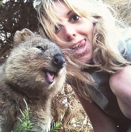 Onlar Dünyanın En Mutlu Hayvanı: Canım Quokkam ile Bir Selfie'm Olmasın mı?