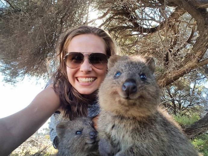 Onlar Dünyanın En Mutlu Hayvanı: Canım Quokkam ile Bir Selfie'm Olmasın mı?