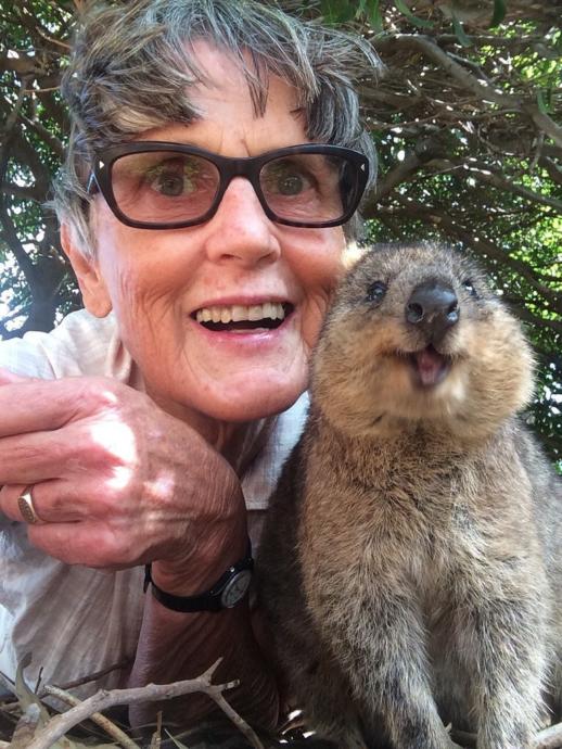 Onlar Dünyanın En Mutlu Hayvanı: Canım Quokkam ile Bir Selfie'm Olmasın mı?