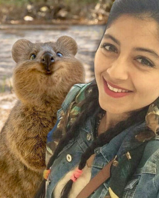 Onlar Dünyanın En Mutlu Hayvanı: Canım Quokkam ile Bir Selfie'm Olmasın mı?