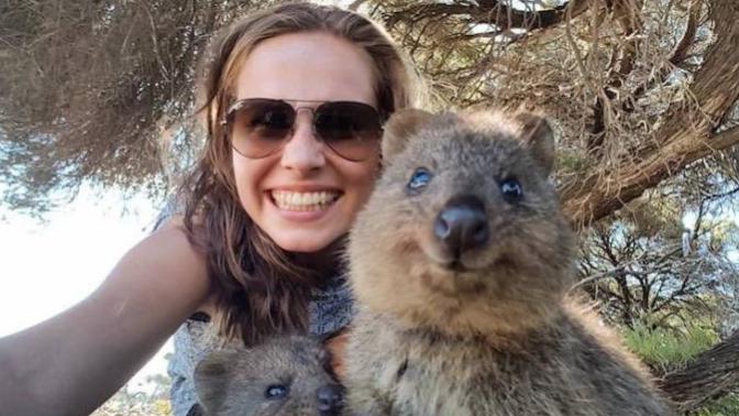 Onlar Dünyanın En Mutlu Hayvanı: Canım Quokkam ile Bir Selfie'm Olmasın mı?