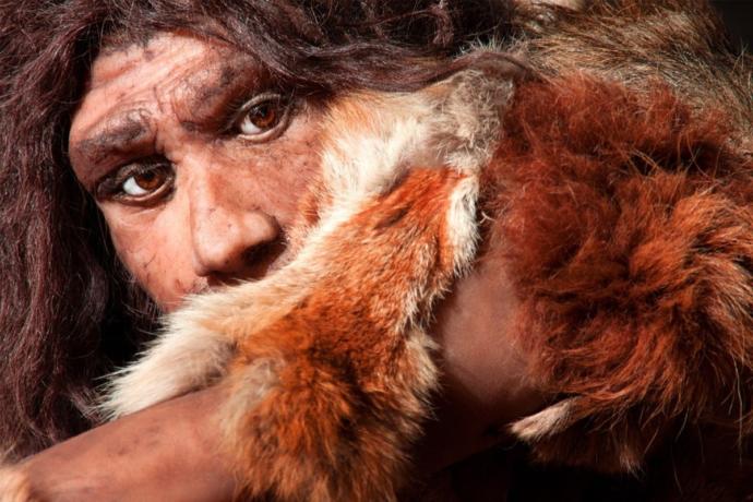 Dünyadaki İlk İnsanları Tanımak İsteyenlere Özel Bence: İşte Neandertaller!