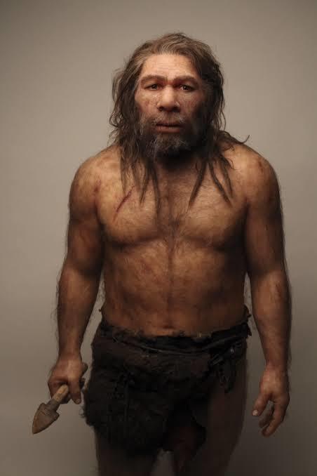 Dünyadaki İlk İnsanları Tanımak İsteyenlere Özel Bence: İşte Neandertaller!