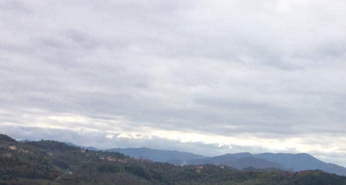Batı Karadeniz'in Zirvesinde Yemyeşil Huzur: Denizi Olan Bacaklı Yaylası