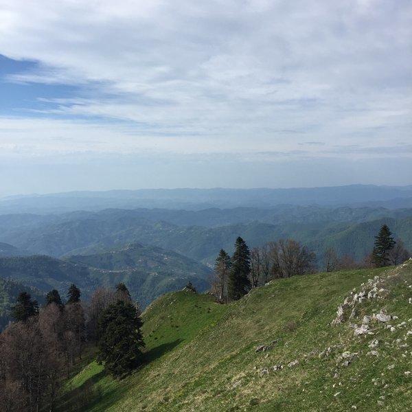 Batı Karadeniz'in Zirvesinde Yemyeşil Huzur: Denizi Olan Bacaklı Yaylası