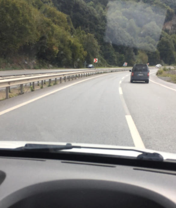 Batı Karadeniz'in Zirvesinde Yemyeşil Huzur: Denizi Olan Bacaklı Yaylası