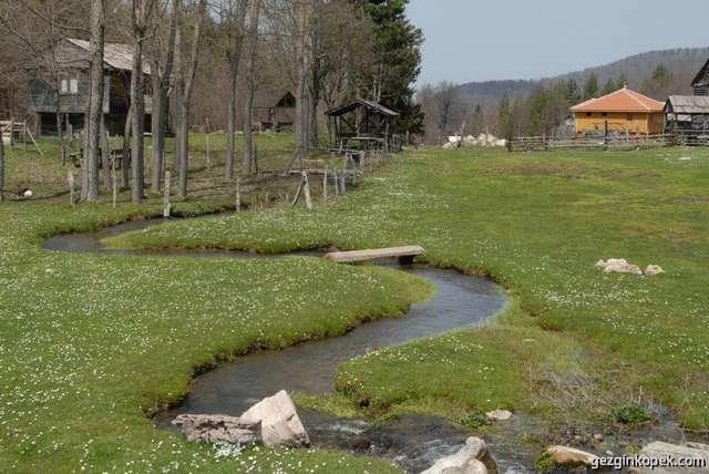Batı Karadeniz'in Zirvesinde Yemyeşil Huzur: Denizi Olan Bacaklı Yaylası