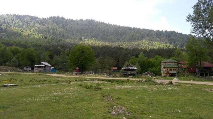 Batı Karadeniz'in Zirvesinde Yemyeşil Huzur: Denizi Olan Bacaklı Yaylası