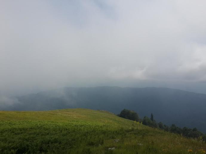 Batı Karadeniz'in Zirvesinde Yemyeşil Huzur: Denizi Olan Bacaklı Yaylası