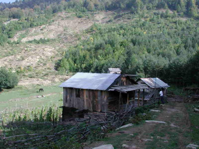eski ev yapımı yayla ağaç evleri