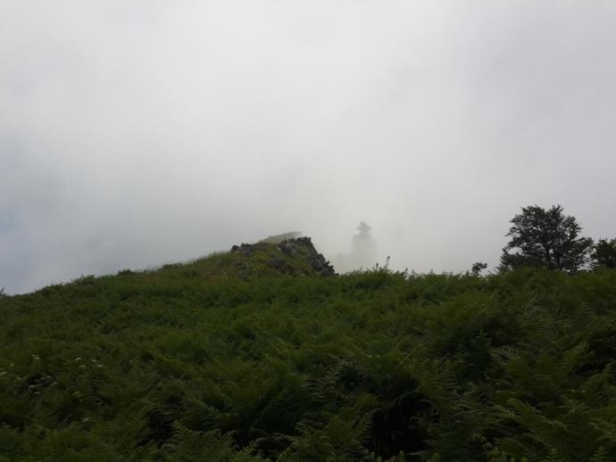 Batı Karadeniz'in Zirvesinde Yemyeşil Huzur: Denizi Olan Bacaklı Yaylası