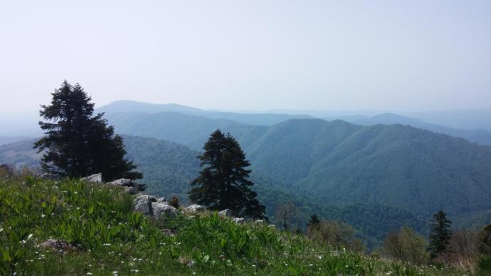 Batı Karadeniz'in Zirvesinde Yemyeşil Huzur: Denizi Olan Bacaklı Yaylası