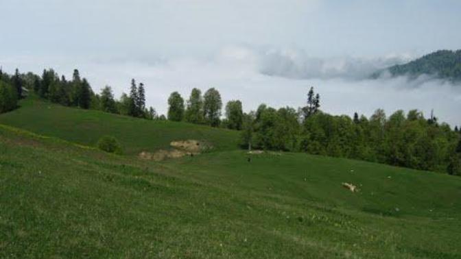 Batı Karadeniz'in Zirvesinde Yemyeşil Huzur: Denizi Olan Bacaklı Yaylası
