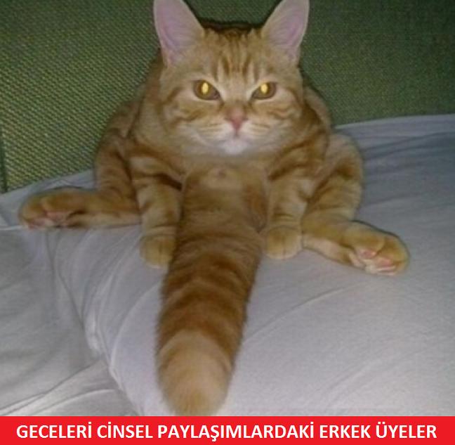 KizlarSoruyor Üyelerinin Verdiği Tepkileri Anlatan 15 Caps