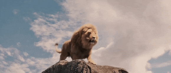 9 Adımda Aslan Burcunun Özellikleri