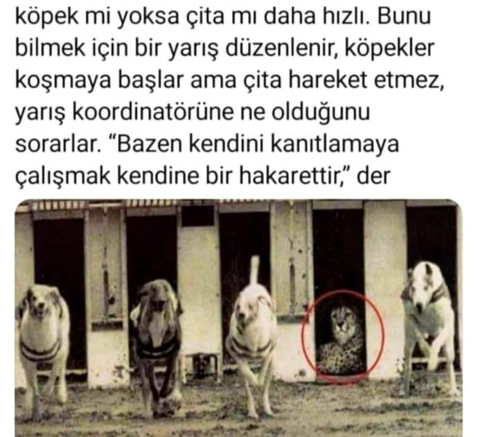 Anlatmaya gerek yok :)