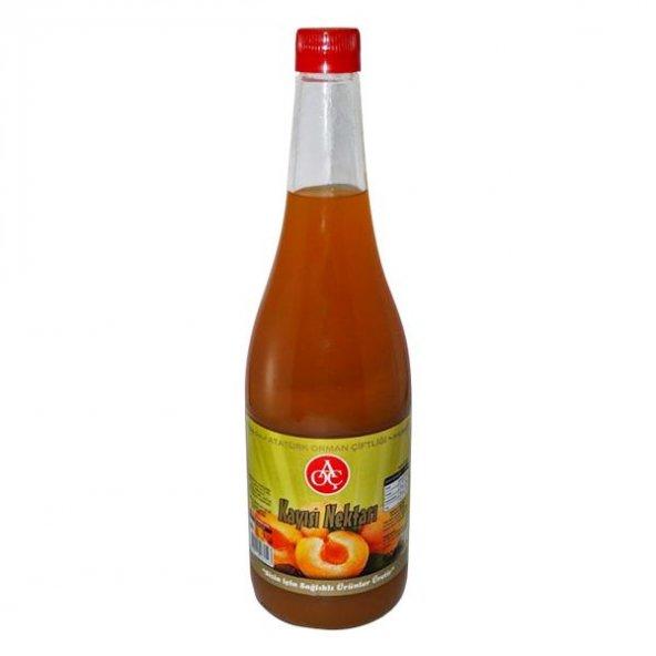 Kayısı Nektarı 1 lt