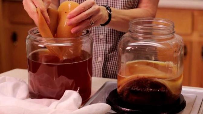 Kombu Çayı Nedir ve Mantarı Nasıl Üretilir?