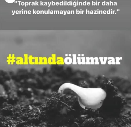 Kanayan Yara Kaz Dağları: Kaz Dağları'na Sahip Çıkalım!