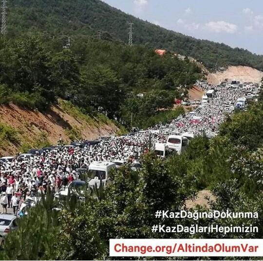 Kanayan Yara Kaz Dağları: Kaz Dağları'na Sahip Çıkalım!