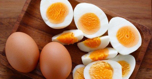 Yumurta Lezzettir