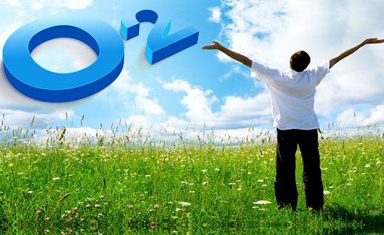 Bir Ağaç İçin Ortalığı Ayağa Kaldırıyorlar Deme; Düşün Gölgesinde Yaşayan Binlerce Organizmayı!