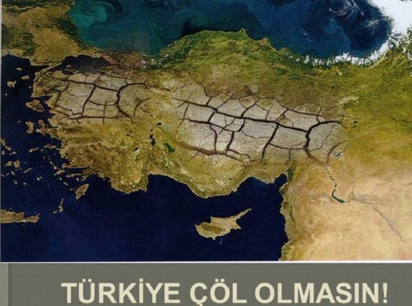 Bir Ağaç İçin Ortalığı Ayağa Kaldırıyorlar Deme; Düşün Gölgesinde Yaşayan Binlerce Organizmayı!