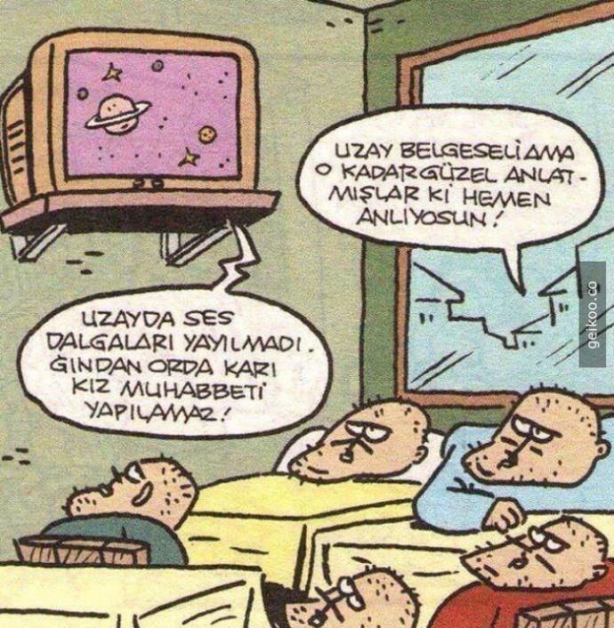 Bir Ağaç İçin Ortalığı Ayağa Kaldırıyorlar Deme; Düşün Gölgesinde Yaşayan Binlerce Organizmayı!