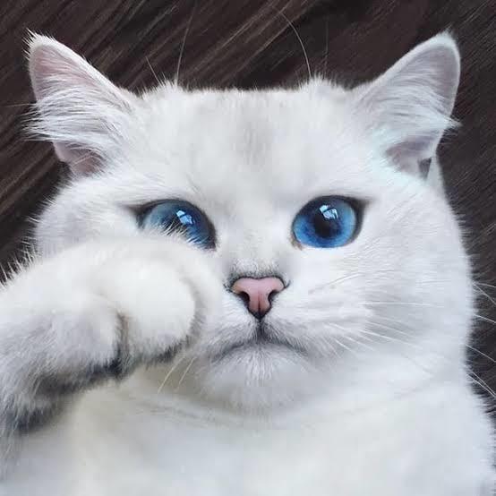 Neden Seviyor Ama Sevilmiyorsunuz?