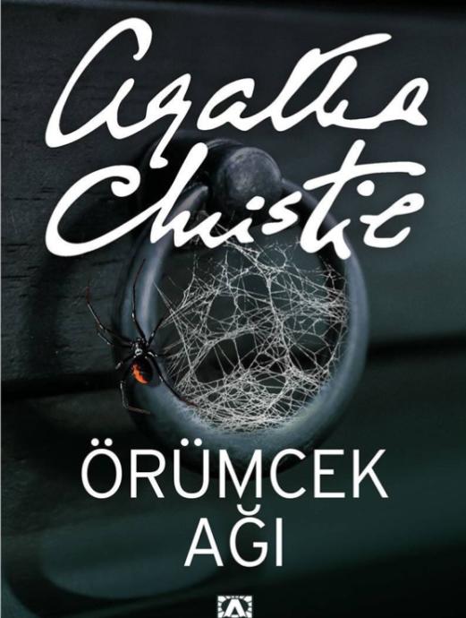 Cinayet romanı