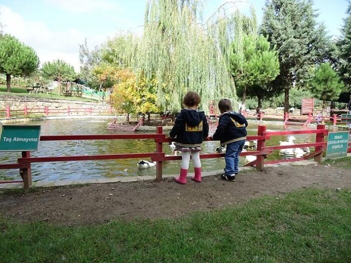 Parktaki dostlar ^^