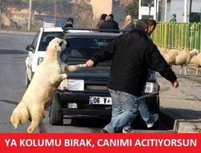 Capsler Eşliğinde Kurban Bayramı