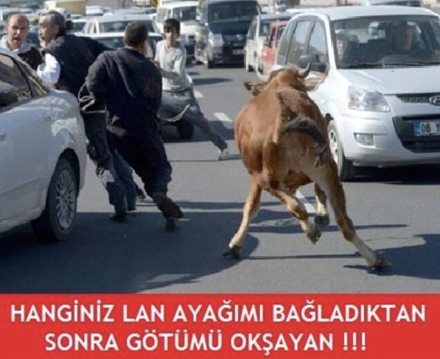 Capsler Eşliğinde Kurban Bayramı