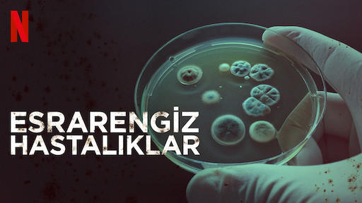 Netflix’te Birkaç Klişe Diziden Fazlasını Bulabileceğinizin Kanıtı 7 Özgün İçerik!