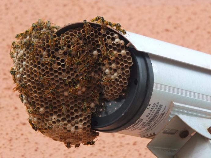 Fotoğraf Tutkunlarında Kesinlikle Bulunması Gereken 5 Parça