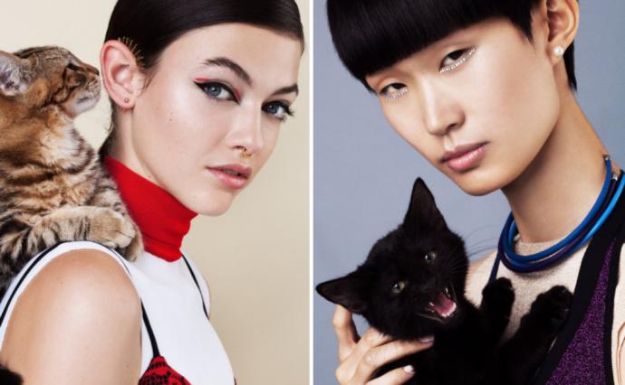 Her Şey Instagram'da Yapılan Bir Paylaşımla Başladı! Fotoğrafçı Brianne Wills: Kızlar ve Kedileri