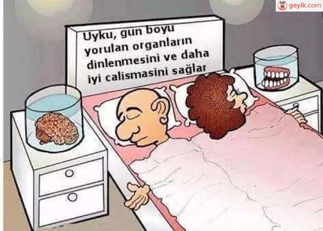 Kadınlarla Erkeklerin Farklı Dünyaların İnsanı Olduğunu Kanıtlayan 15 Madde
