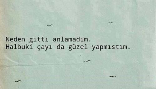 Aşk, Zekasını İhmal Eden İnsanları Sever!
