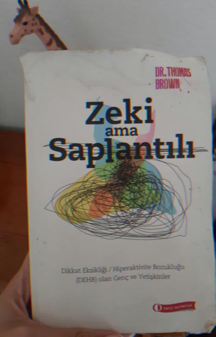 İçimdeki Beni Ortaya Çıkaran, Şiddetle Tavsiye Ettiğim 4 Psikolojik Kitap!