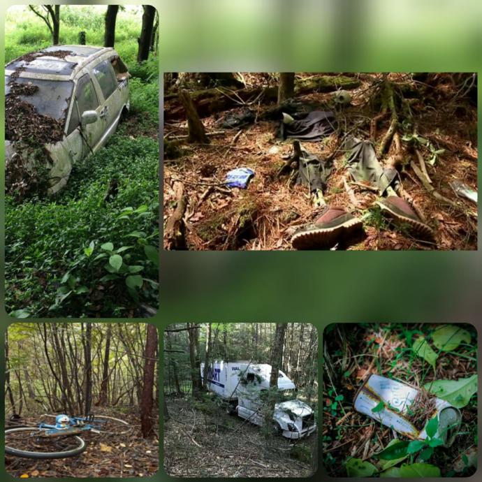 Gizemini Koruyan Ormanda İnsanlar İntihar Etmeye Devam Ediyor; Aokigahara Ormanı