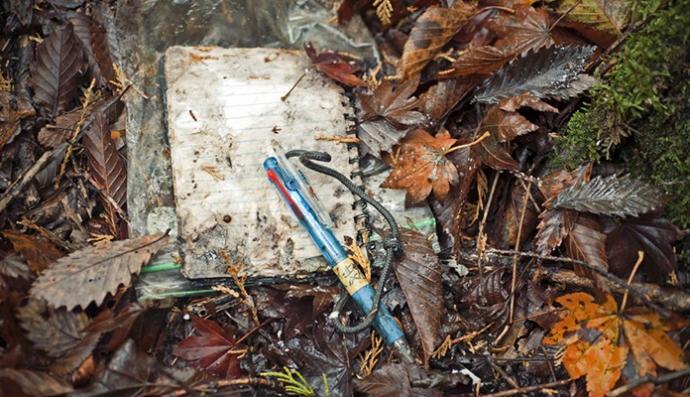 Gizemini Koruyan Ormanda İnsanlar İntihar Etmeye Devam Ediyor; Aokigahara Ormanı