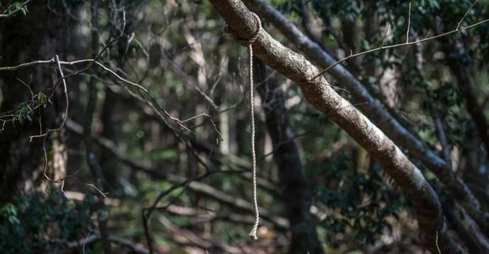 Gizemini Koruyan Ormanda İnsanlar İntihar Etmeye Devam Ediyor; Aokigahara Ormanı
