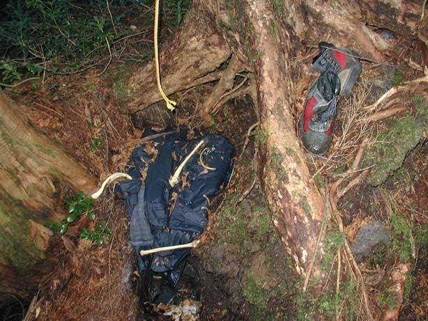 Gizemini Koruyan Ormanda İnsanlar İntihar Etmeye Devam Ediyor; Aokigahara Ormanı