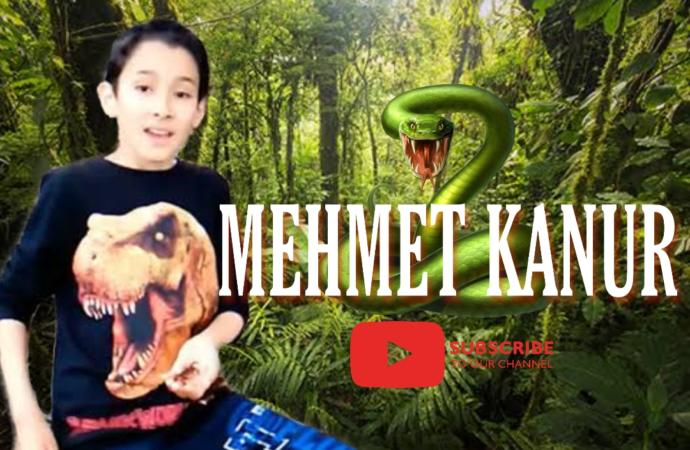 Youtube'un Küçük Korkusuz ve Hayvan Dostu Youtuber'ı: Mehmet Kanur